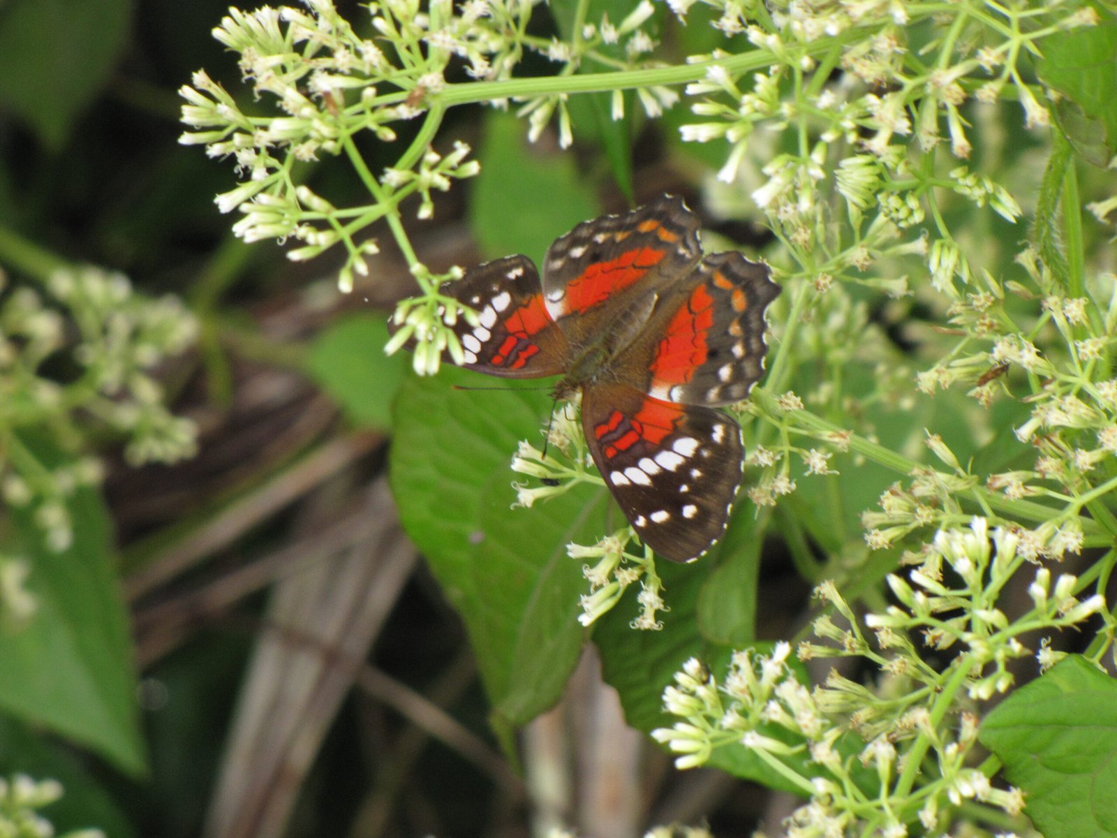 its where you find it...